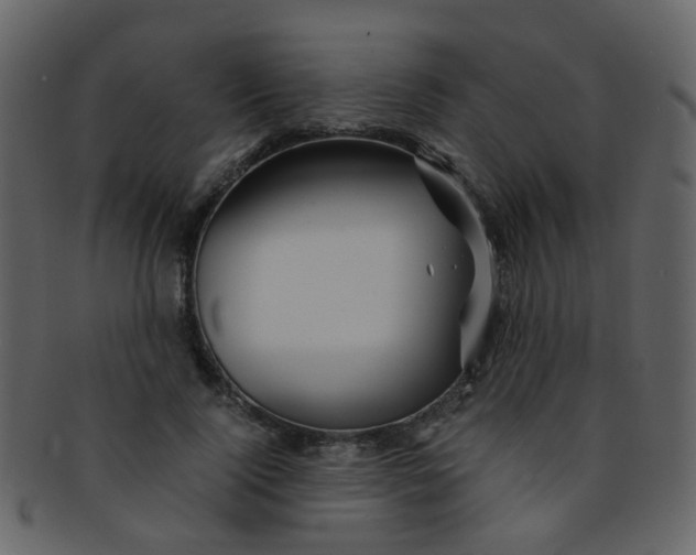 X0000093150740200710171350