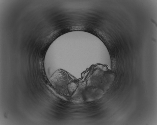 X0000093150741200710171350