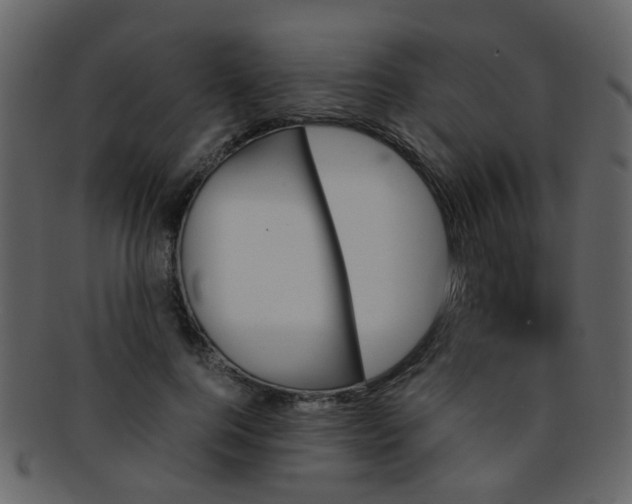 X0000093150744200710171350