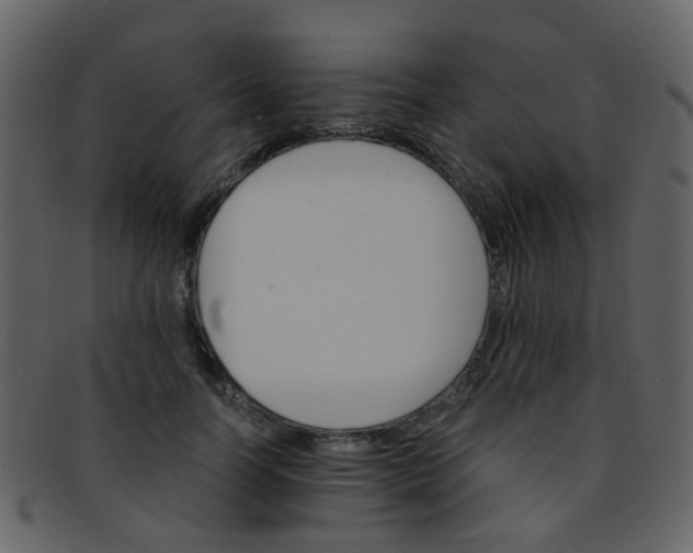 X0000093150746200710171350