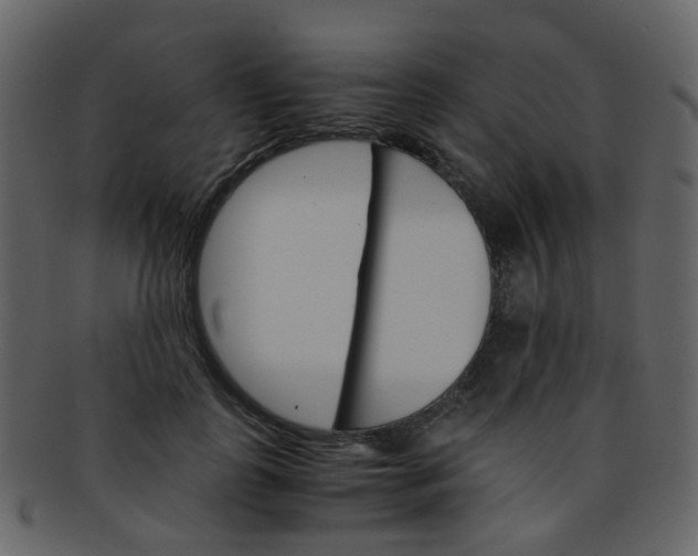 X0000093150747200710171350