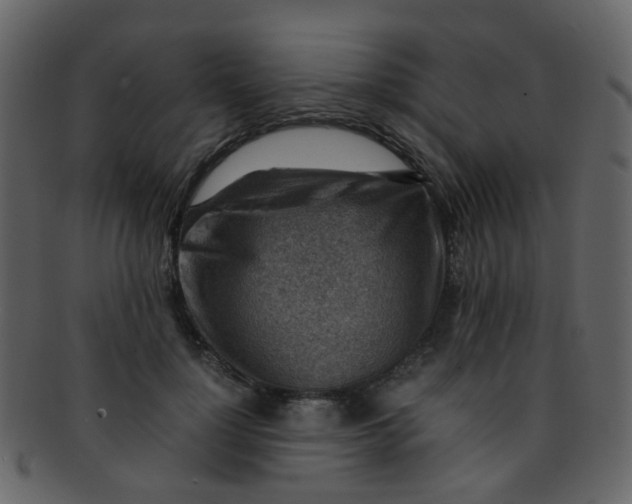 X0000093150748200710171350