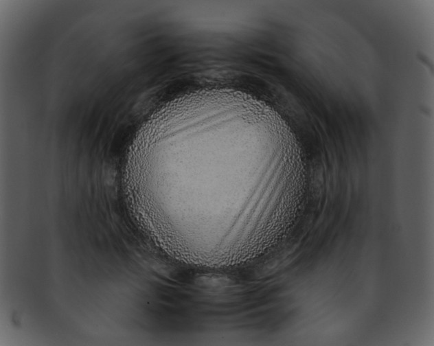 X0000093150749200710171350