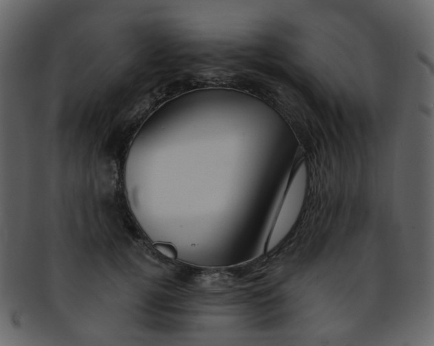 X0000093150752200710171350