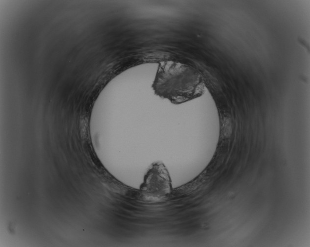 X0000093150753200710171350