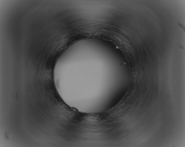 X0000093150756200710171350