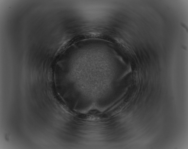 X0000093150760200710171350