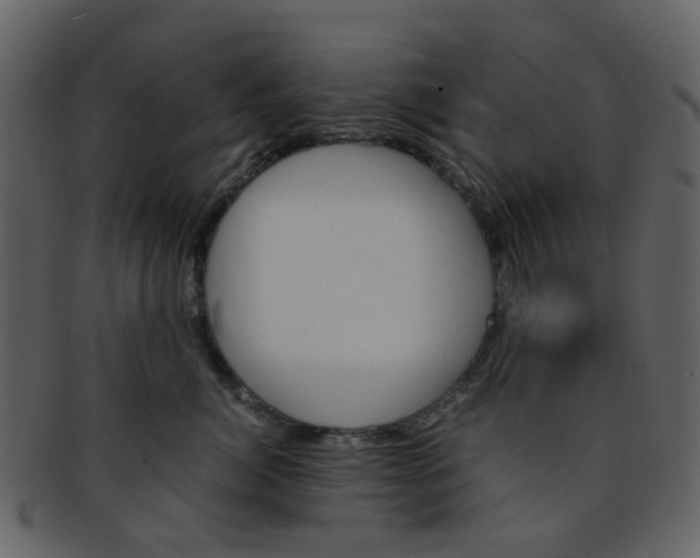 X0000093150764200710171350