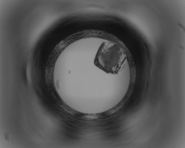 X0000093150765200710171350