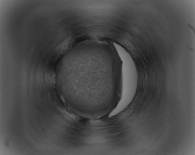 X0000093150766200710171350