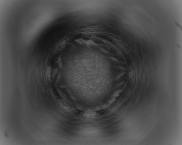 X0000093150767200710171350