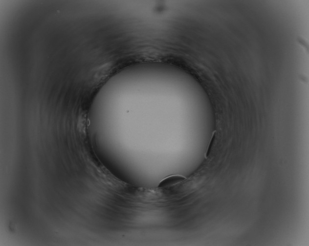 X0000093150768200710171350