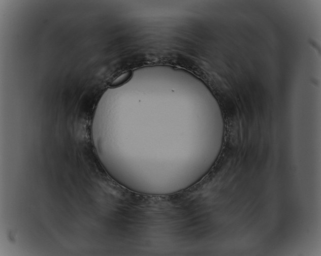 X0000093150770200710171350