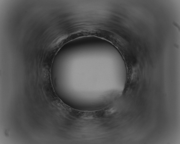 X0000093150773200710171350