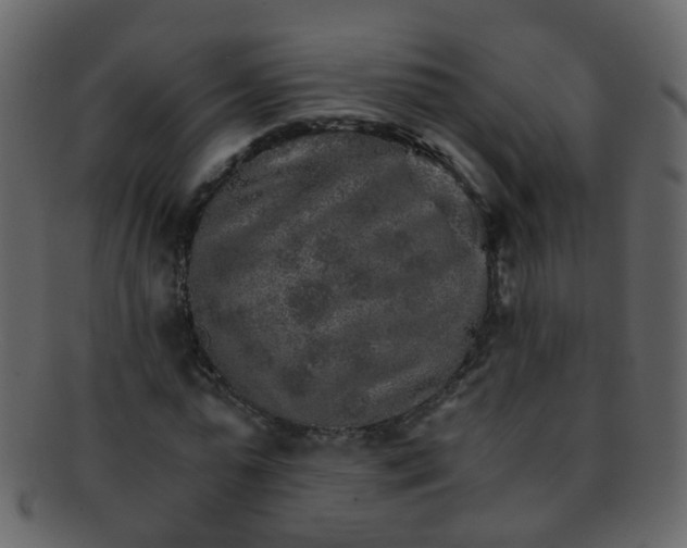 X0000093150775200710171350