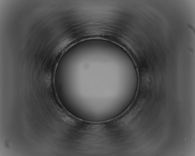 X0000093150778200710171350