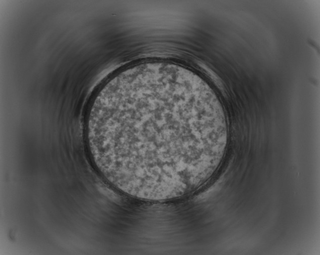 X0000093150779200710171350