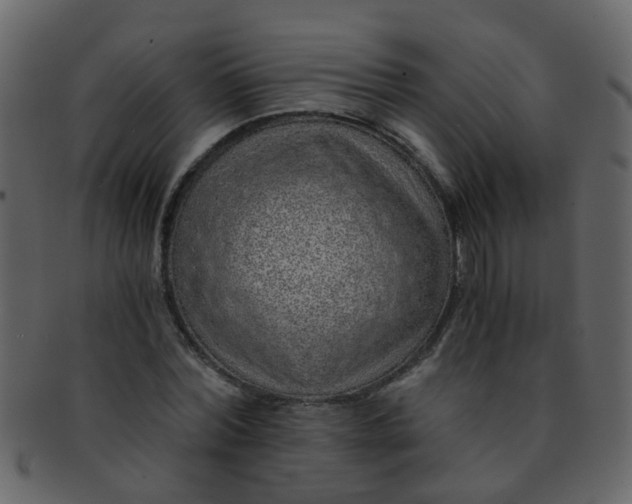 X0000093150780200710171350