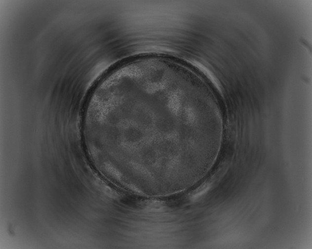 X0000093150783200710171350