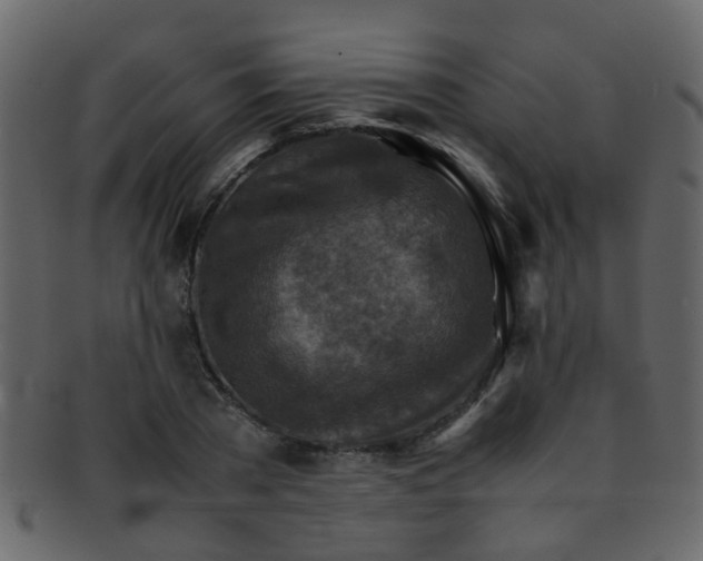 X0000093150785200710171350