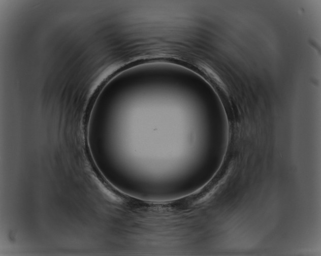 X0000093150789200710171350