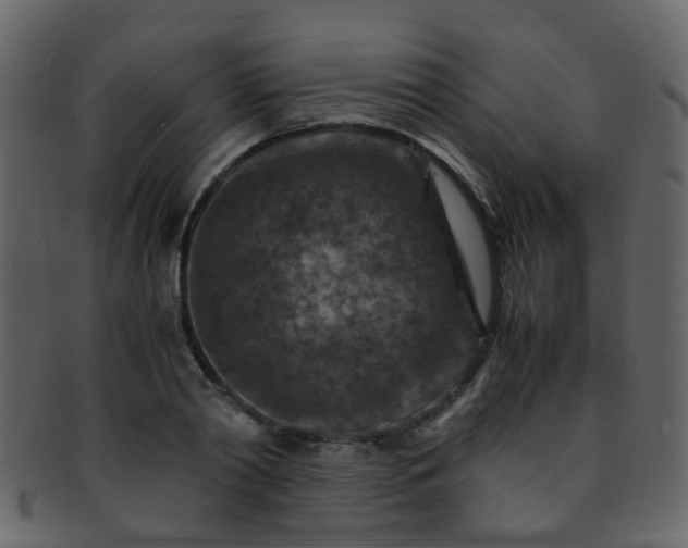 X0000093150790200710171349