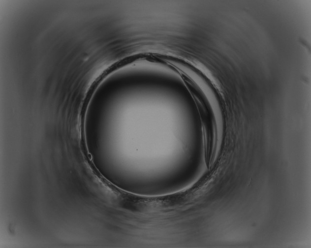 X0000093150791200710171349