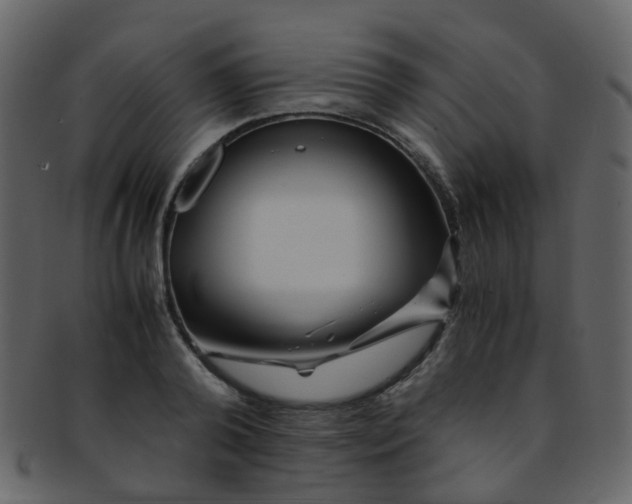 X0000093150792200710171349