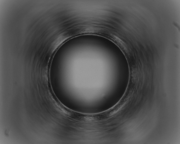 X0000093150794200710171349