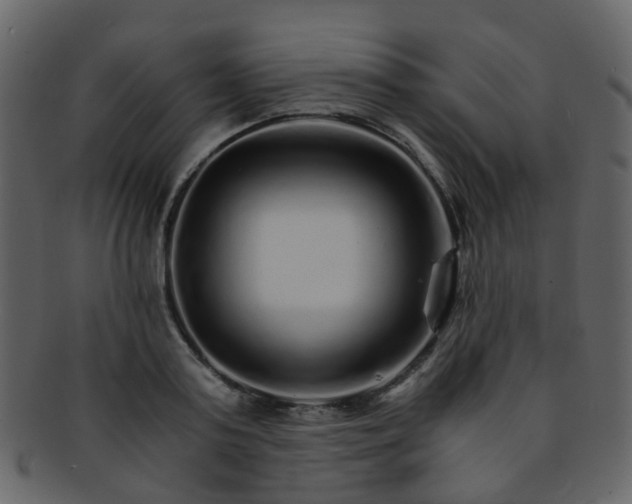 X0000093150795200710171349