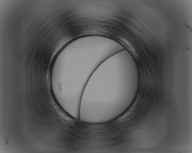 X0000093150796200710171349