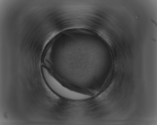 X0000093150797200710171349