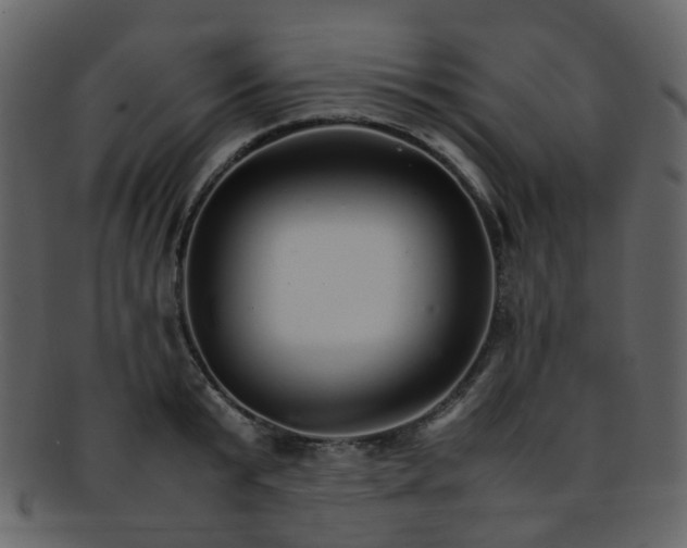 X0000093150799200710171349