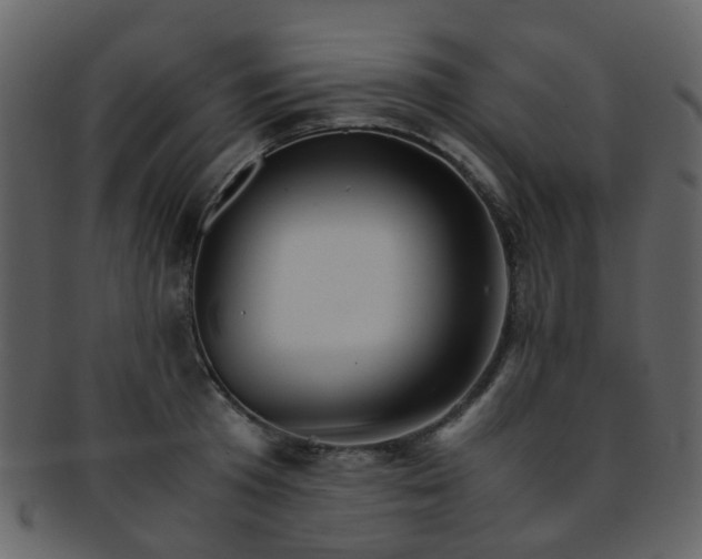 X0000093150801200710171349