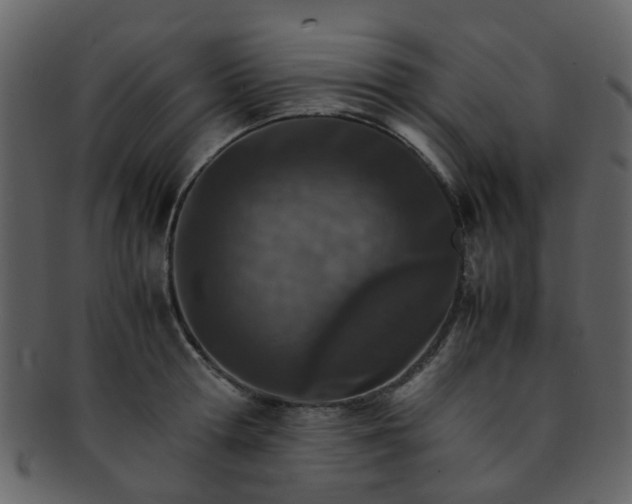 X0000093150802200710171349