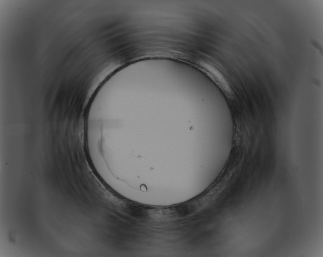 X0000093150804200710171349