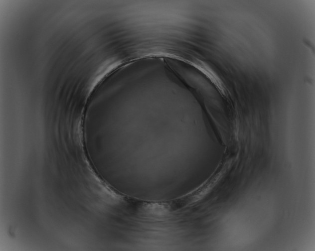 X0000093150806200710171349