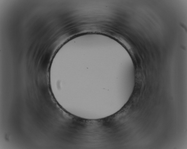 X0000093150807200710171349