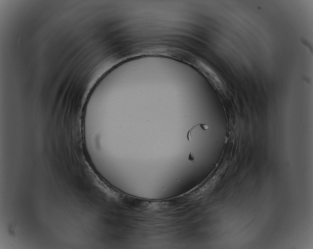 X0000093150808200710171349