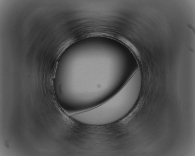 X0000093150809200710171349