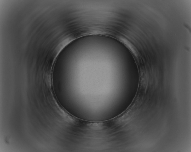 X0000093150810200710171349