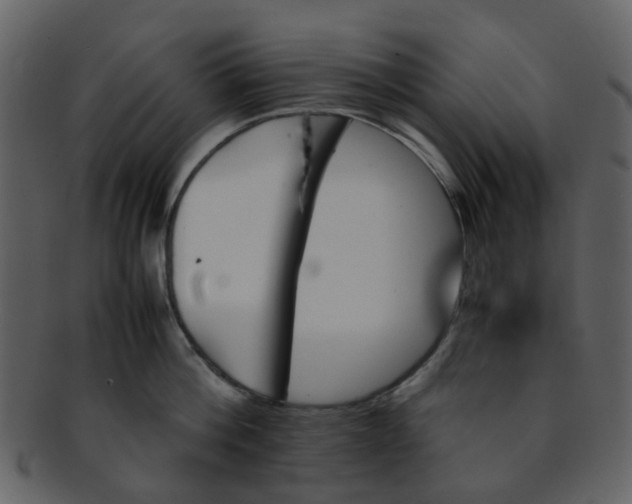 X0000093150812200710171349