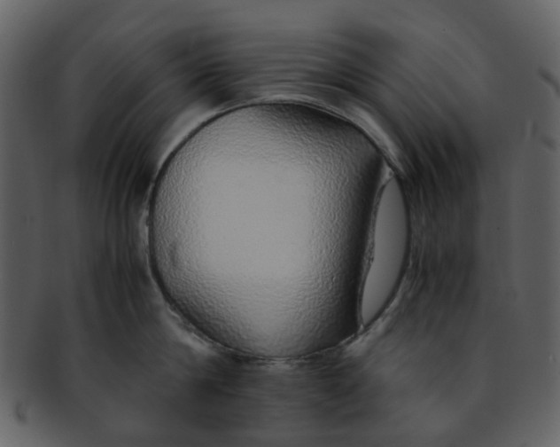 X0000093150814200710171349