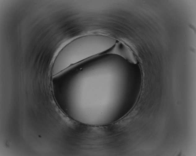 X0000093150816200710171349