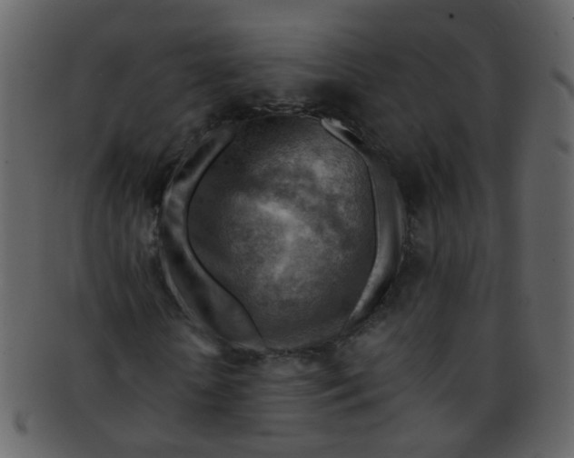 X0000093150818200710171349