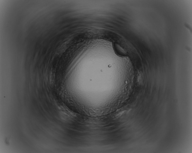 X0000093150819200710171349