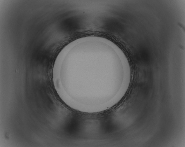 X0000093150820200710171349