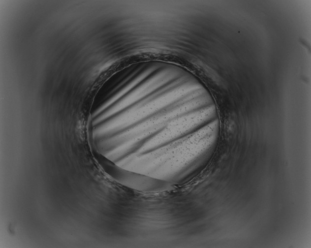 X0000093150822200710171349