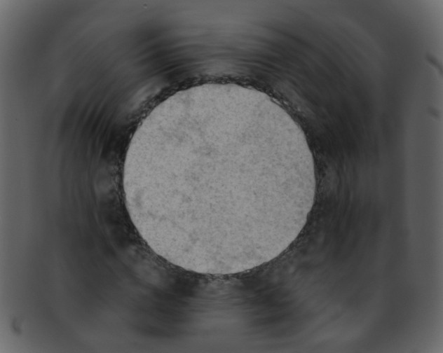 X0000093150824200710171349