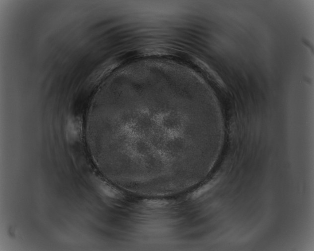 X0000093150825200710171349